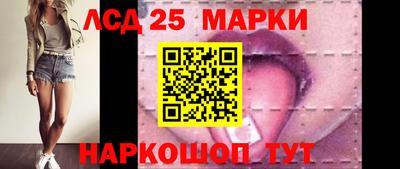 гидропоника Можга