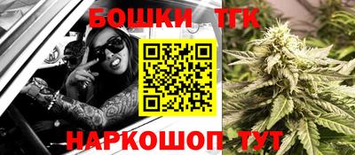 гидропоника Можга