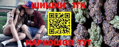гидропоника Можга