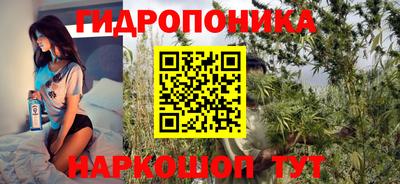 гидропоника Можга