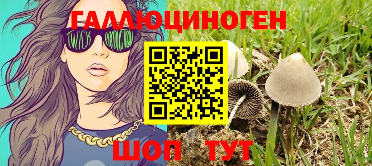 Электрогорск  Галлюциногенные грибы мухоморы  Вход с VPN 